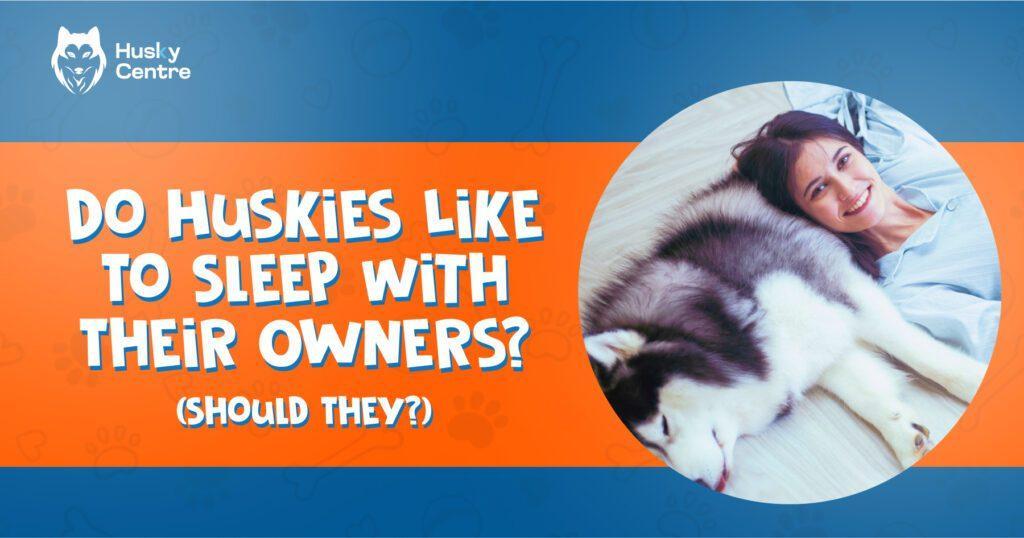 Do Huskies Like to Sleep With Their Owners