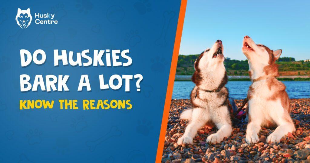 Do Huskies Bark A Lot