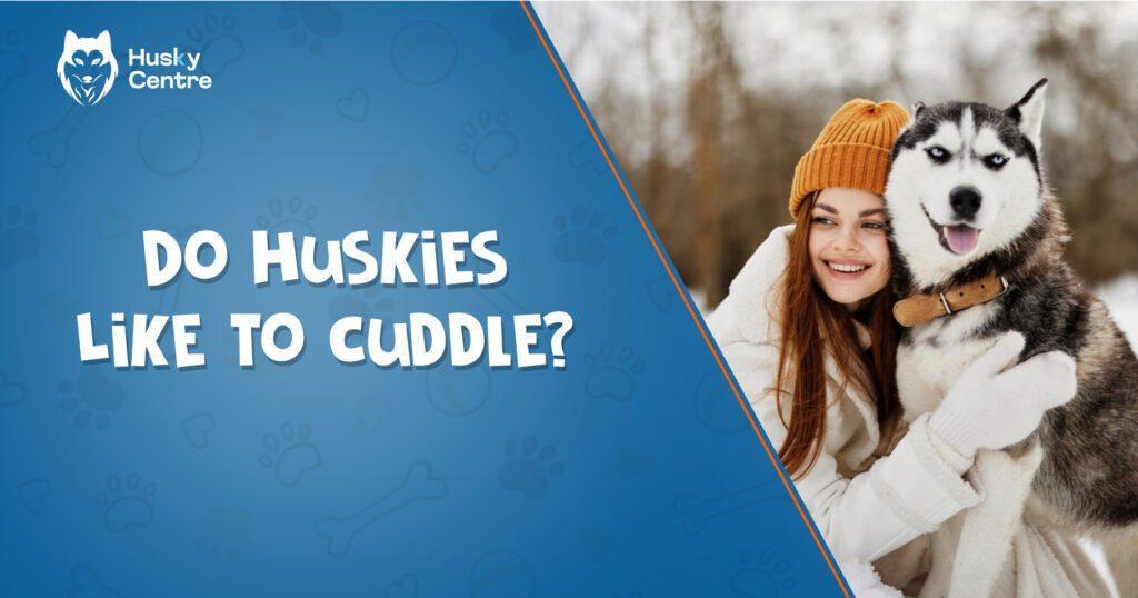 Do Huskies Like to Cuddle