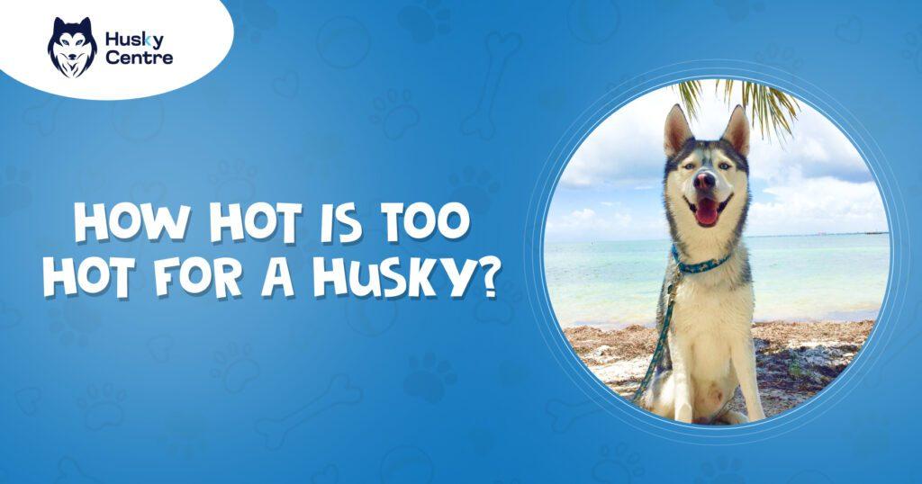 what temperature is too hot for huskies