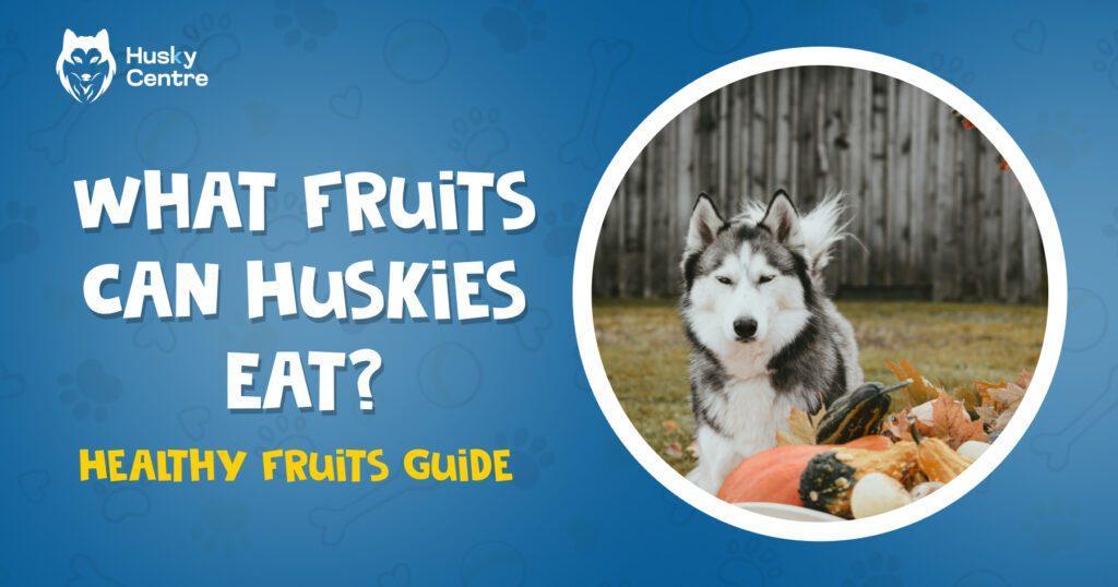 What Fruits Can Huskies Eat