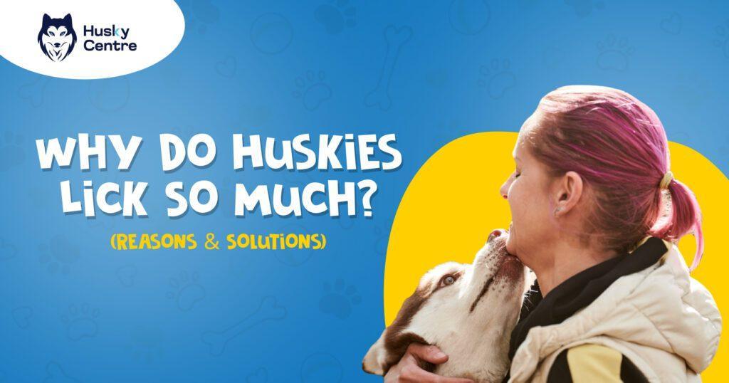 why do huskies lick so much