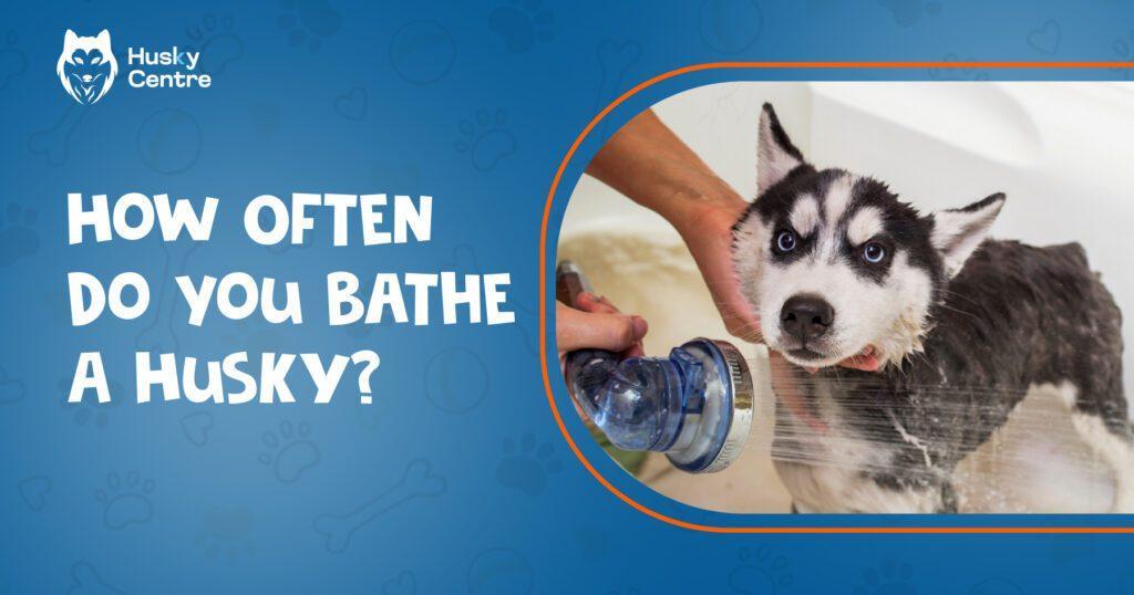 how often do you bathe a husky